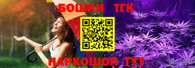 сатива Моздок