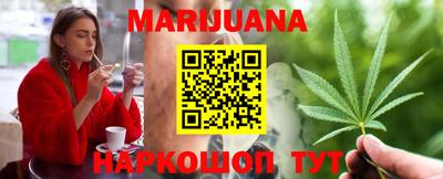 сатива Моздок