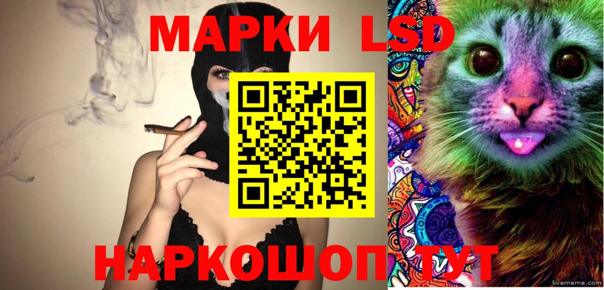 Наркотические марки 1500мкг  Вход с VPN  дарнет шоп  Зерноград  Наркотические марки 1500мкг 