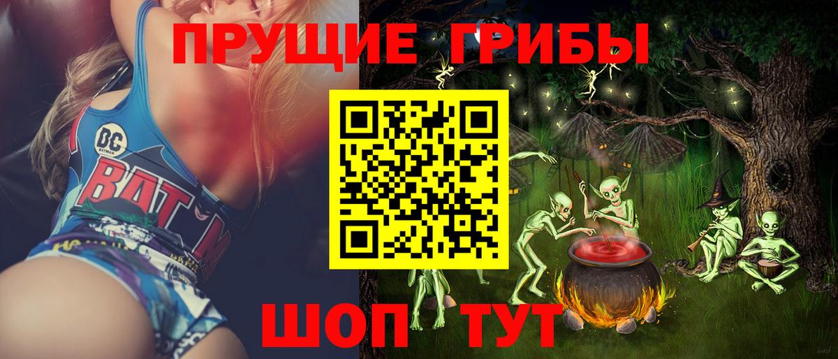 Зерноград  Псилоцибиновые грибы Psilocybe  Вход с VPN 